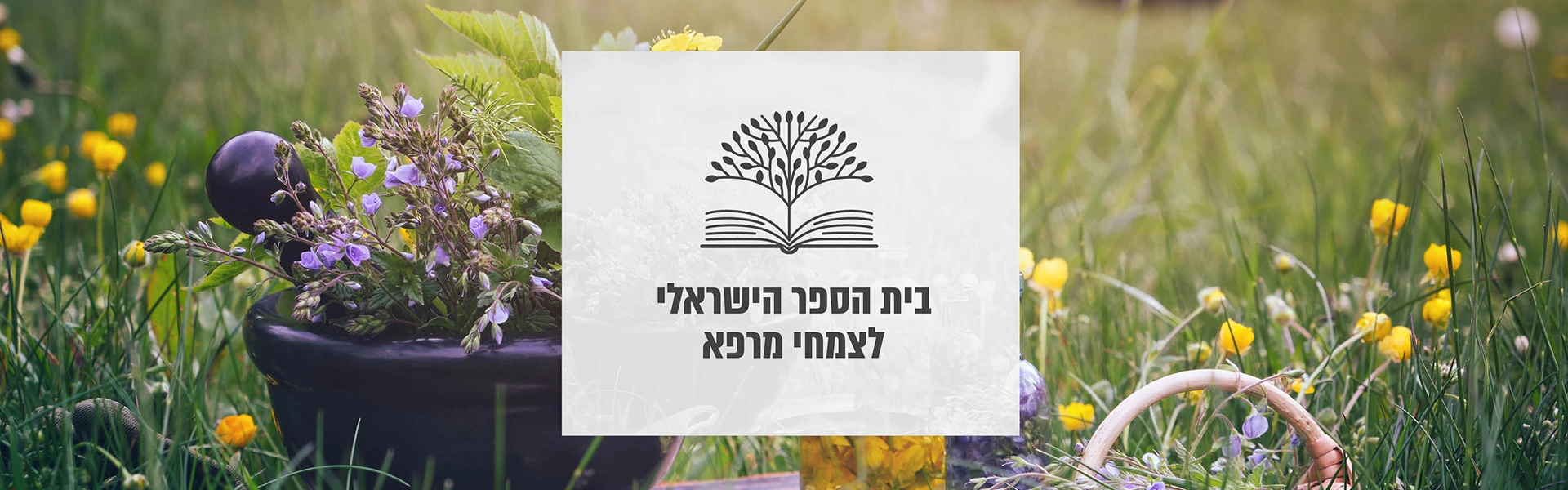 בית הספר הישראלי לצמחי מרפא