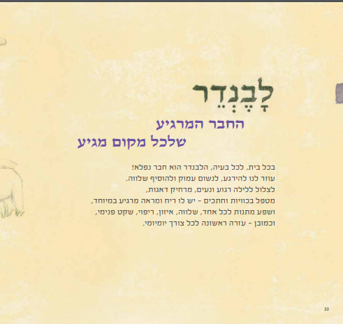 לבנדר לבנדר